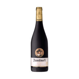 Faustino V Reserva Rioja 2015